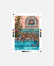 Leopard Royal Lagoon