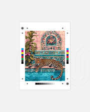 Leopard Royal Lagoon