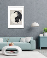 Yin Yang Feline Harmony