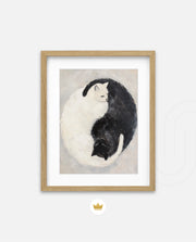 Yin Yang Feline Harmony
