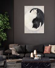 Yin Yang Feline Harmony