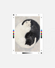 Yin Yang Feline Harmony
