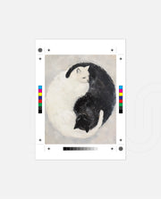 Yin Yang Feline Harmony