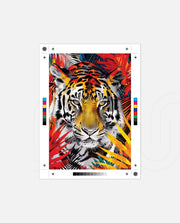 Tiger Inferno Jungle