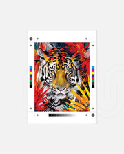 Tiger Inferno Jungle