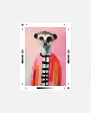 Fashionable Meerkat Muse