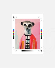 Fashionable Meerkat Muse