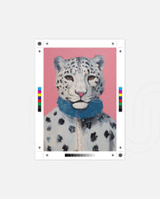 Snow Leopard Sweater