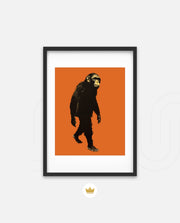 Midnight Chimp Silhouette