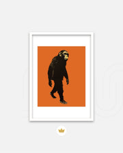Midnight Chimp Silhouette