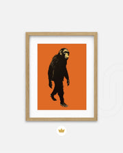 Midnight Chimp Silhouette