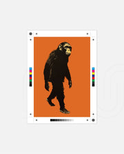 Midnight Chimp Silhouette