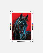 Crimson Thunder Stallion