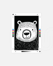 Midnight Sketch Bear