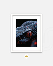 Ember Eye Viper