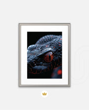 Ember Eye Viper
