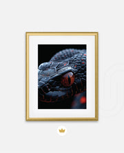 Ember Eye Viper
