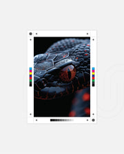 Ember Eye Viper