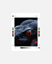 Ember Eye Viper