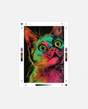 Neon Whisker Pop