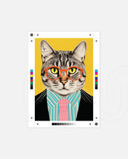 Smart Tabby Gentleman