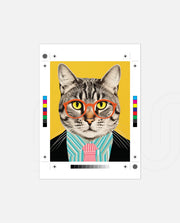 Smart Tabby Gentleman