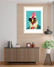 Cool Rooster Executive