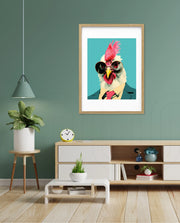 Cool Rooster Executive