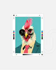 Cool Rooster Executive