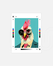 Cool Rooster Executive