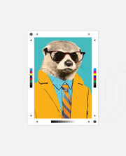 Suave Meerkat Executive