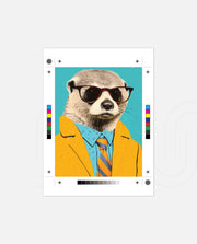 Suave Meerkat Executive