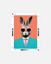 Modern Rabbit Executive