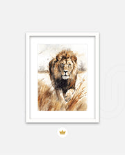 Wild Lion Savannah Watercolor
