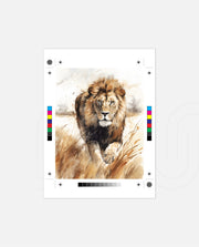 Wild Lion Savannah Watercolor