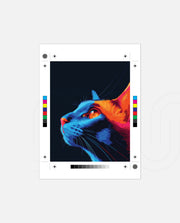 Neon Pop Cat Profile