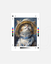Serene Persian Cat