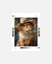 Gentleman Persian Cat