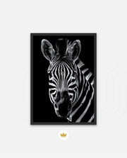 Zebra Portrait Black and White