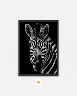 Zebra Portrait Black and White