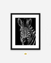 Zebra Portrait Black and White