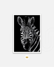 Zebra Portrait Black and White