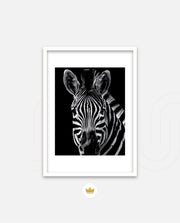 Zebra Portrait Black and White