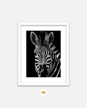 Zebra Portrait Black and White