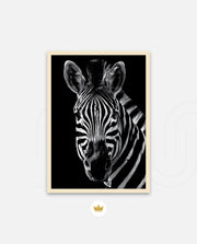 Zebra Portrait Black and White