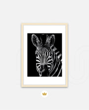 Zebra Portrait Black and White