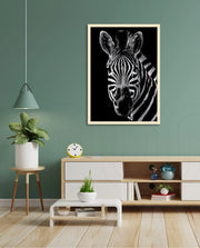 Zebra Portrait Black and White