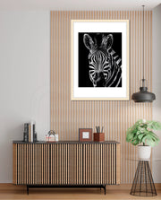 Zebra Portrait Black and White