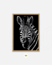 Zebra Portrait Black and White