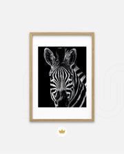 Zebra Portrait Black and White